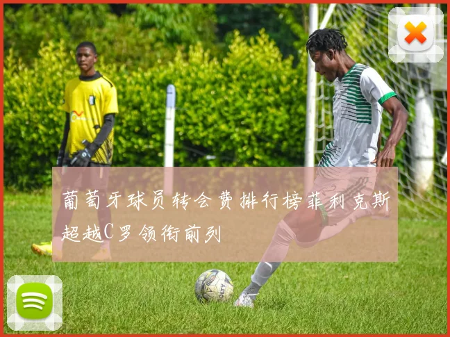 葡萄牙球员转会费排行榜菲利克斯超越C罗领衔前列